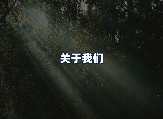 关于我们